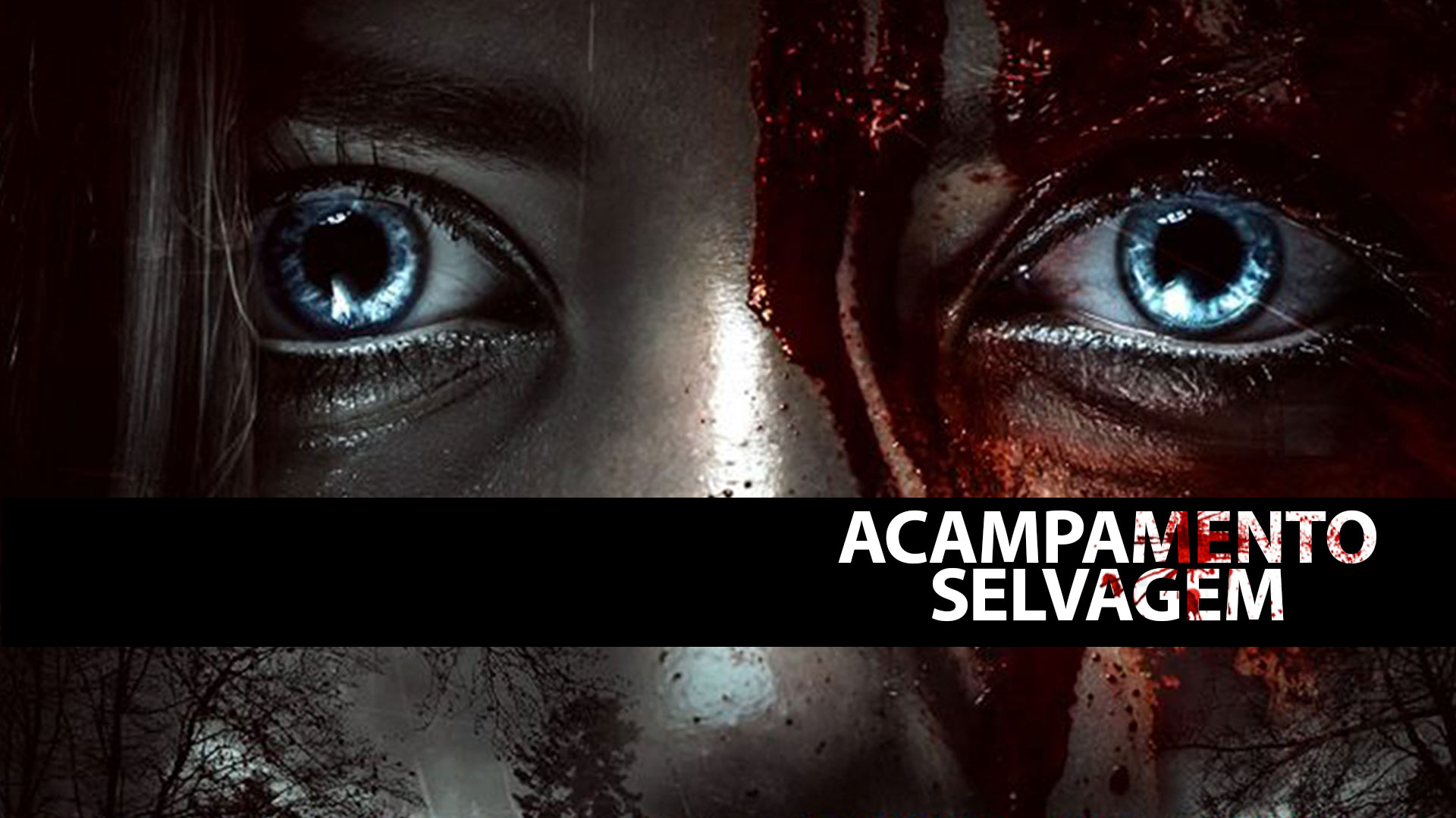 Acampamento Selvagem